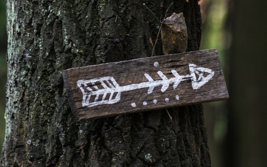 rectangular wooden sign with a painted white arrow hangs on a tree