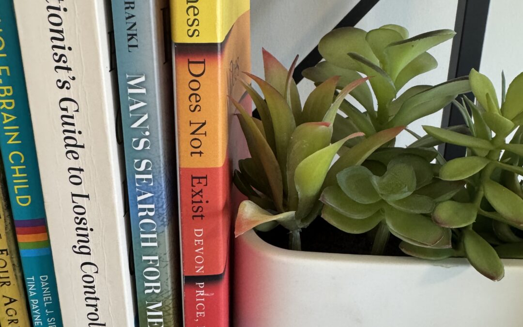 Three books sit on a brown bookshelf next to a pot of succulents.